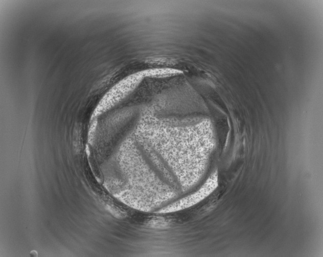 X0000078870416200612111719