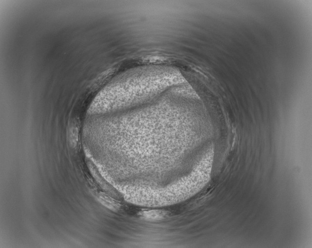 X0000078870417200612111718