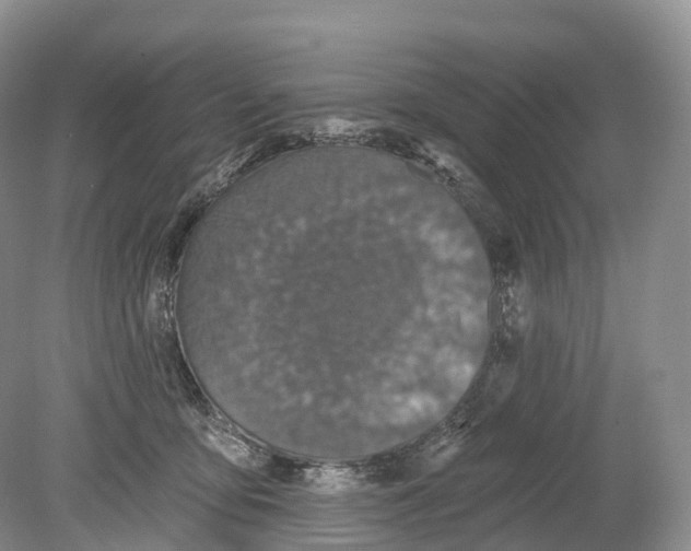 X0000078870419200612111718