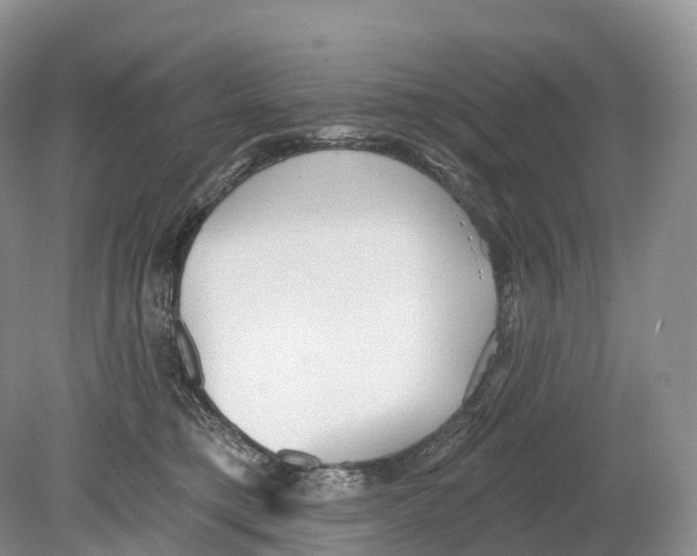 X0000078870421200612111718