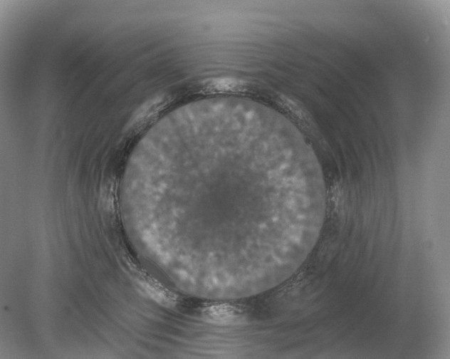 X0000078870423200612111718