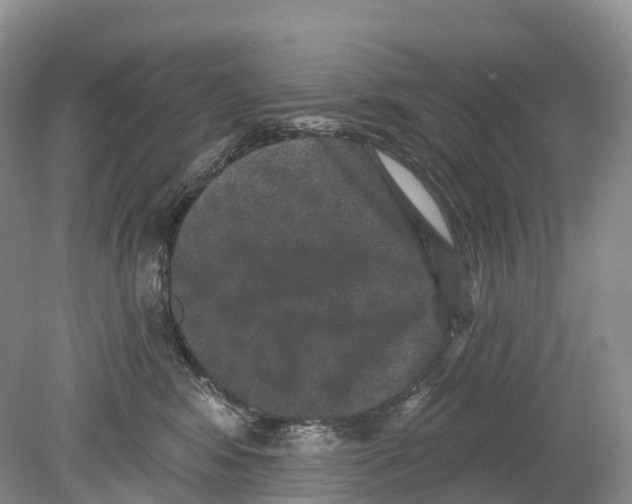 X0000078870424200612111718