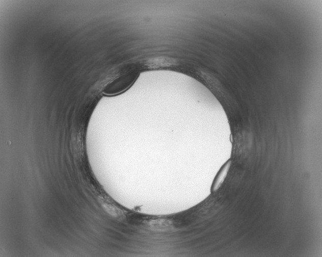 X0000078870426200612111718