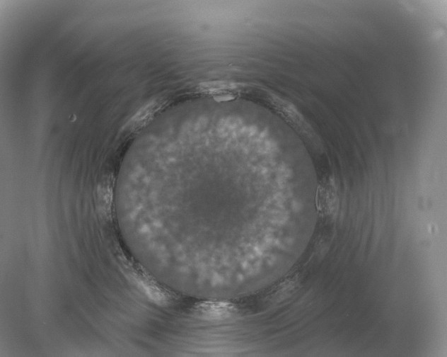 X0000078870427200612111718