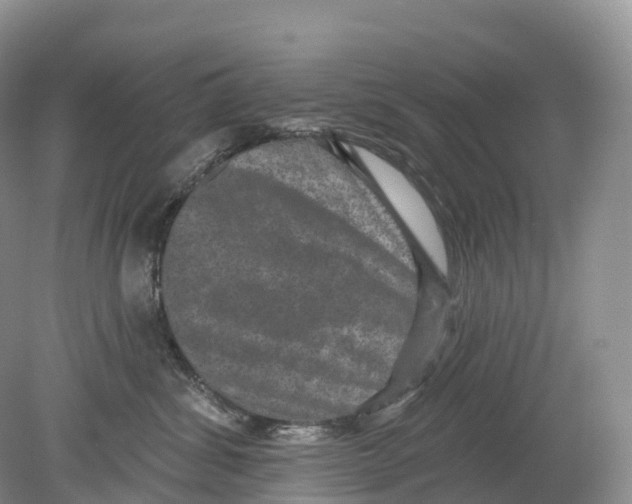 X0000078870428200612111718