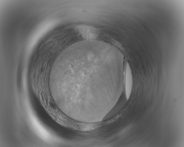 X0000078870431200612111718