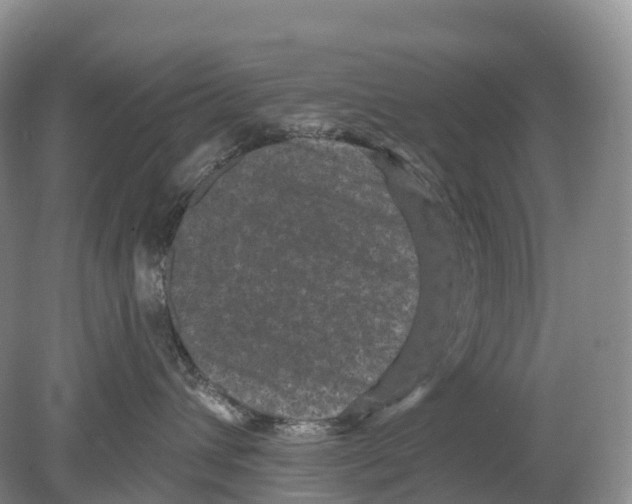 X0000078870432200612111718