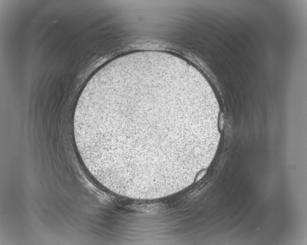 X0000078870433200612111717