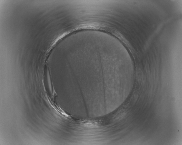 X0000078870434200612111717