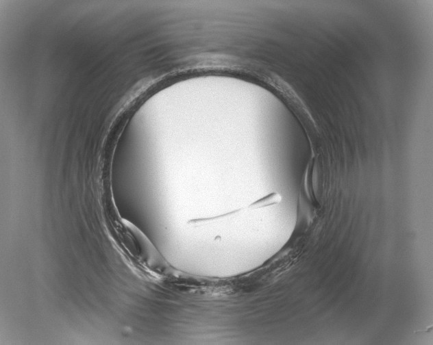 X0000078870436200612111717