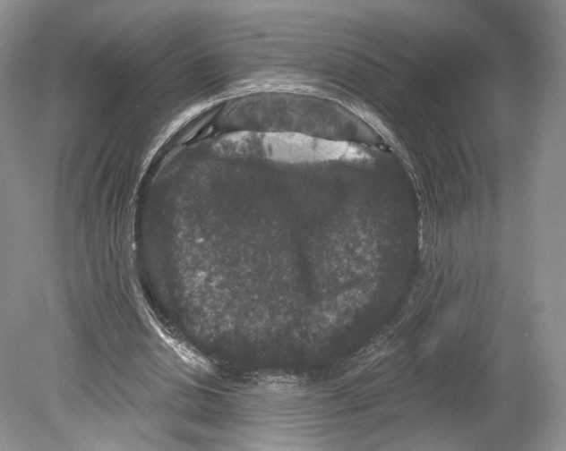 X0000078870438200612111718