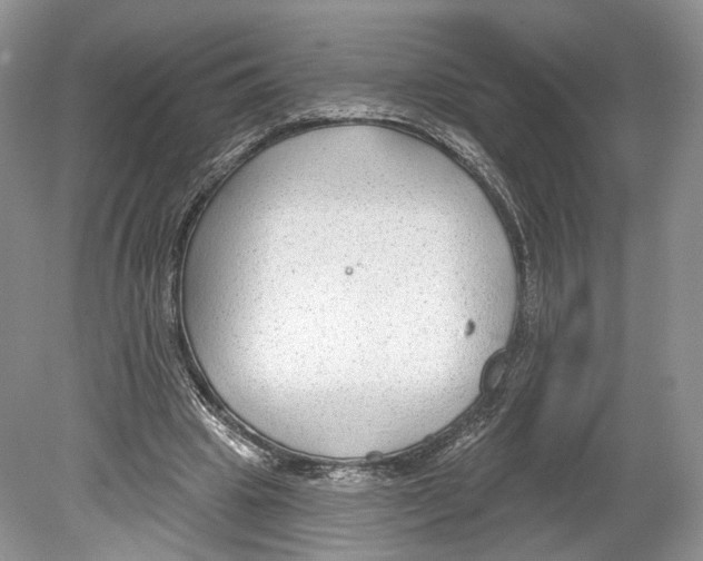 X0000078870441200612111718