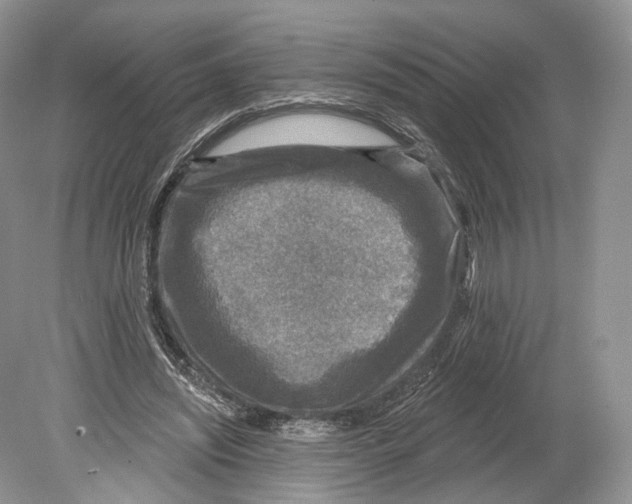 X0000078870444200612111718