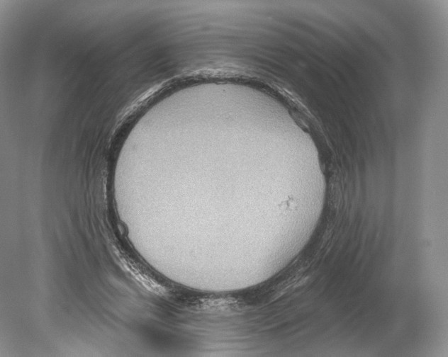 X0000078870446200612111718