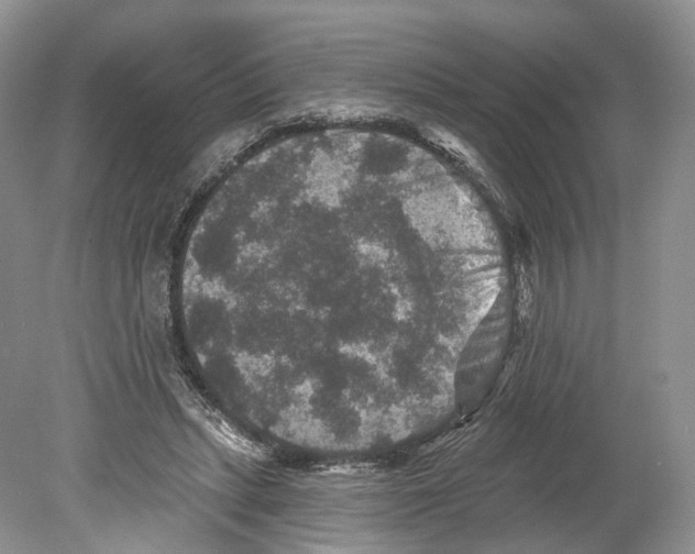 X0000078870447200612111718