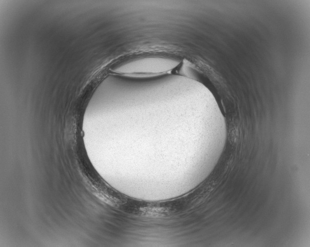 X0000078870448200612111718