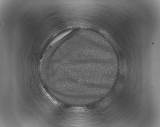 X0000078870449200612111718