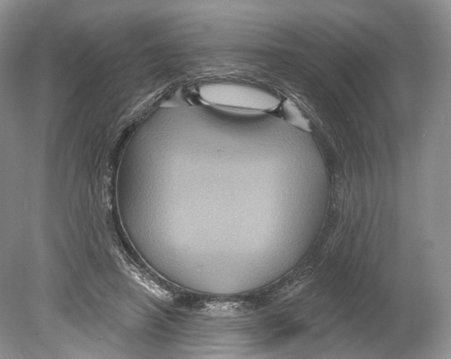 X0000078870450200612111718