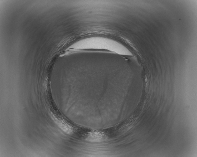 X0000078870451200612111718