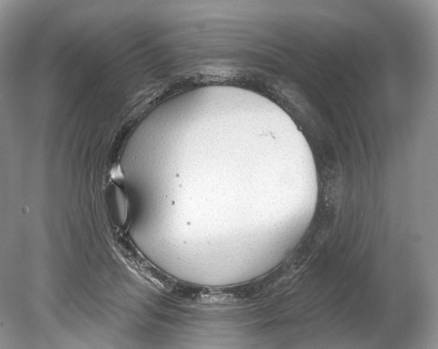 X0000078870455200612111718