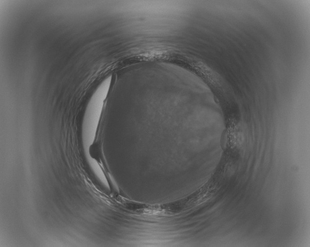 X0000078870458200612111718