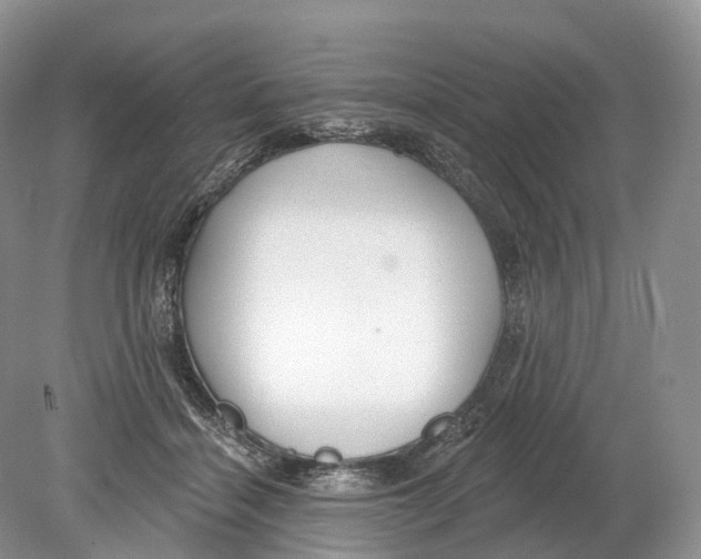 X0000078870460200612111718