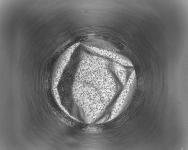 X0000078870464200612111718