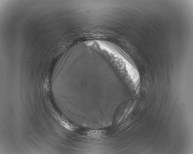 X0000078870465200612111718