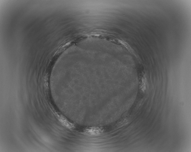 X0000078870466200612111718