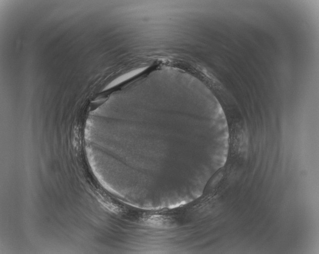 X0000078870467200612111718