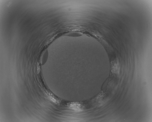 X0000078870471200612111718