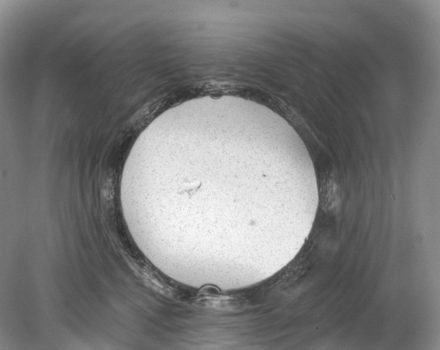 X0000078870472200612111718