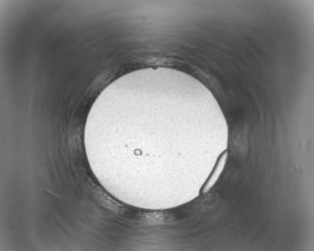 X0000078870473200612111718