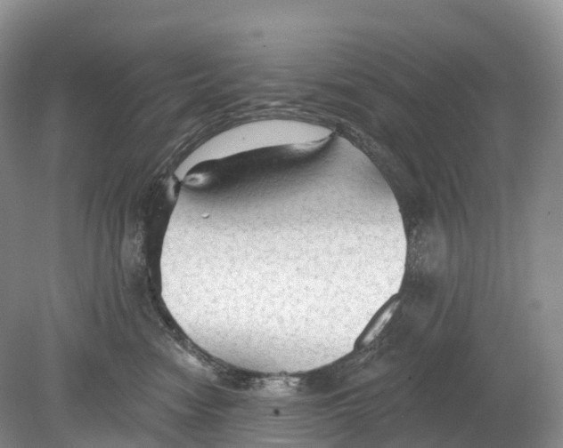 X0000078870474200612111718