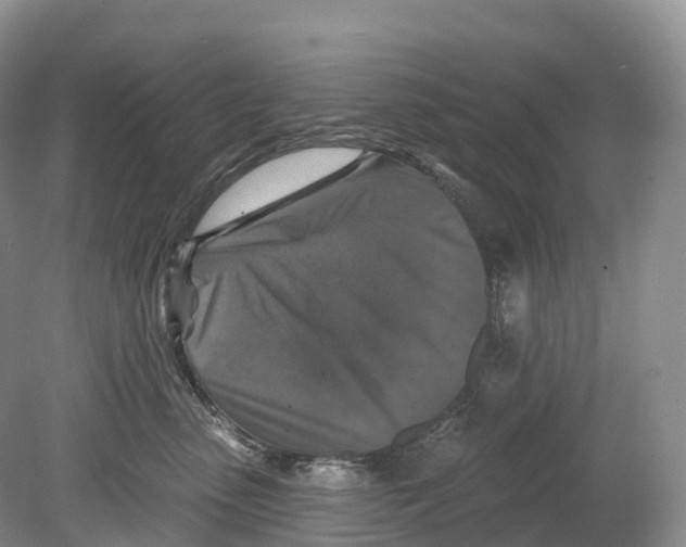 X0000078870475200612111718