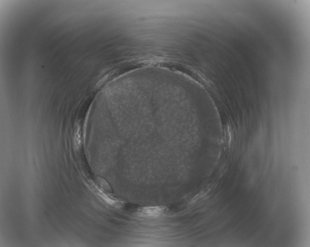 X0000078870479200612111718