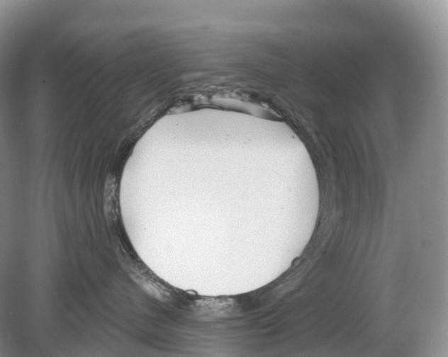 X0000078870480200612111718