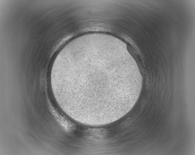 X0000078870482200612111717