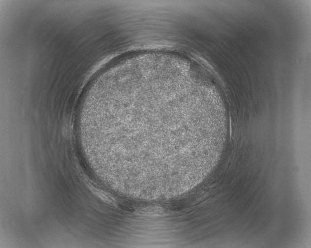 X0000078870483200612111717