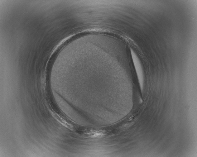 X0000078870484200612111717