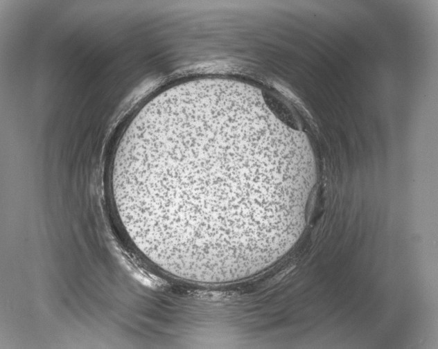 X0000078870486200612111717