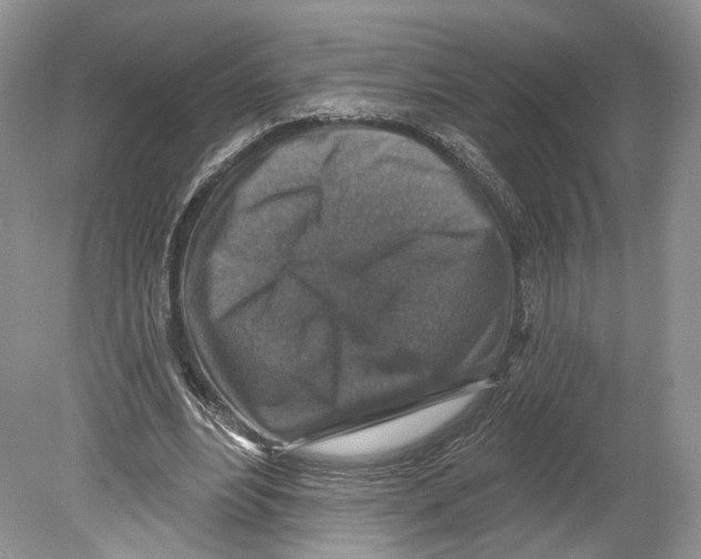 X0000078870488200612111717