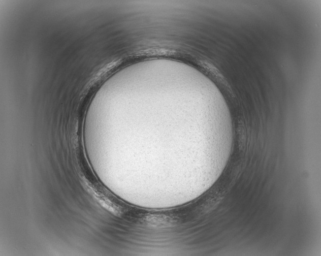 X0000078870490200612111717