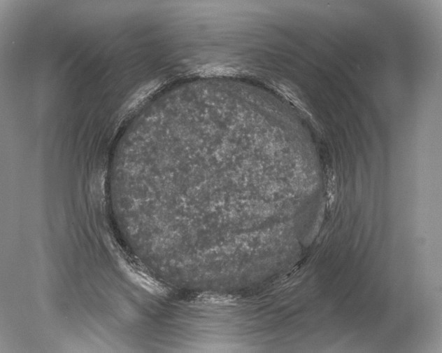 X0000078870491200612111717