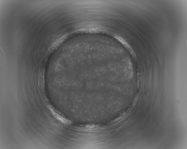 X0000078870493200612111717