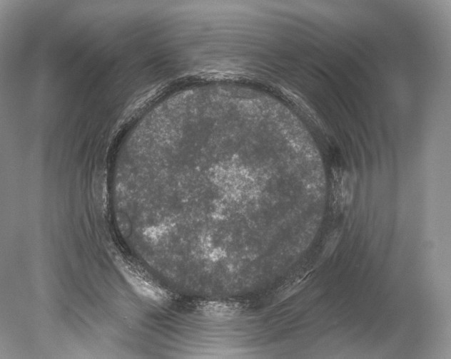 X0000078870494200612111717