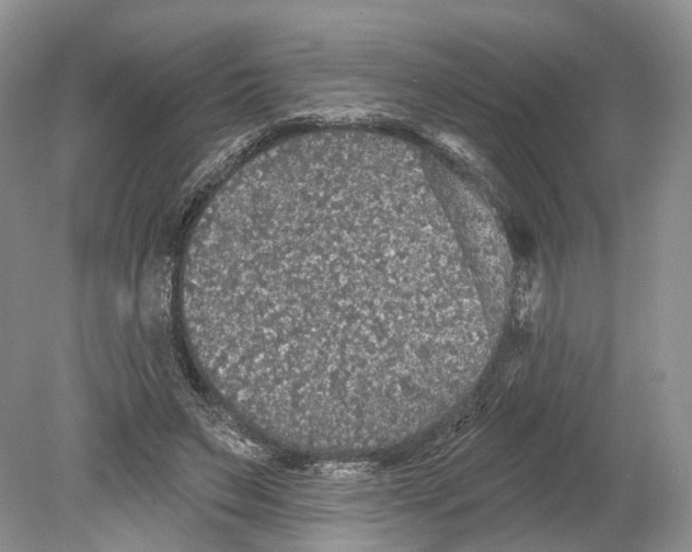 X0000078870495200612111717