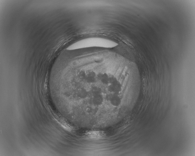 X0000078870499200612111717