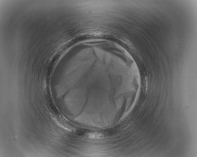 X0000078870500200612111717