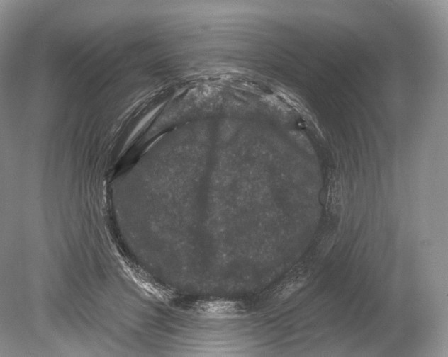 X0000078870501200612111717